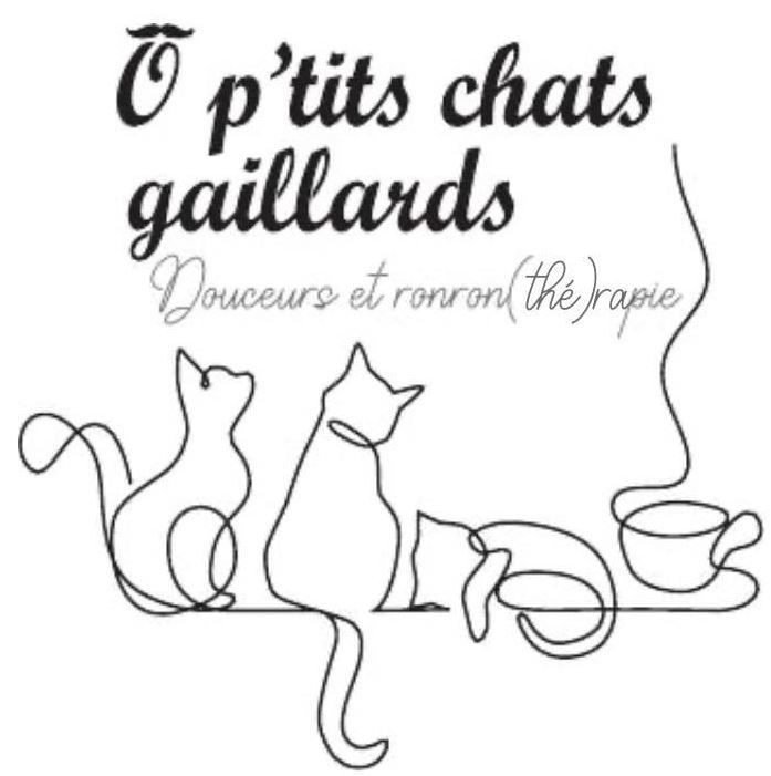 O Ptits Chats Gaillards Bar a Chat Brive Soutien Improviste