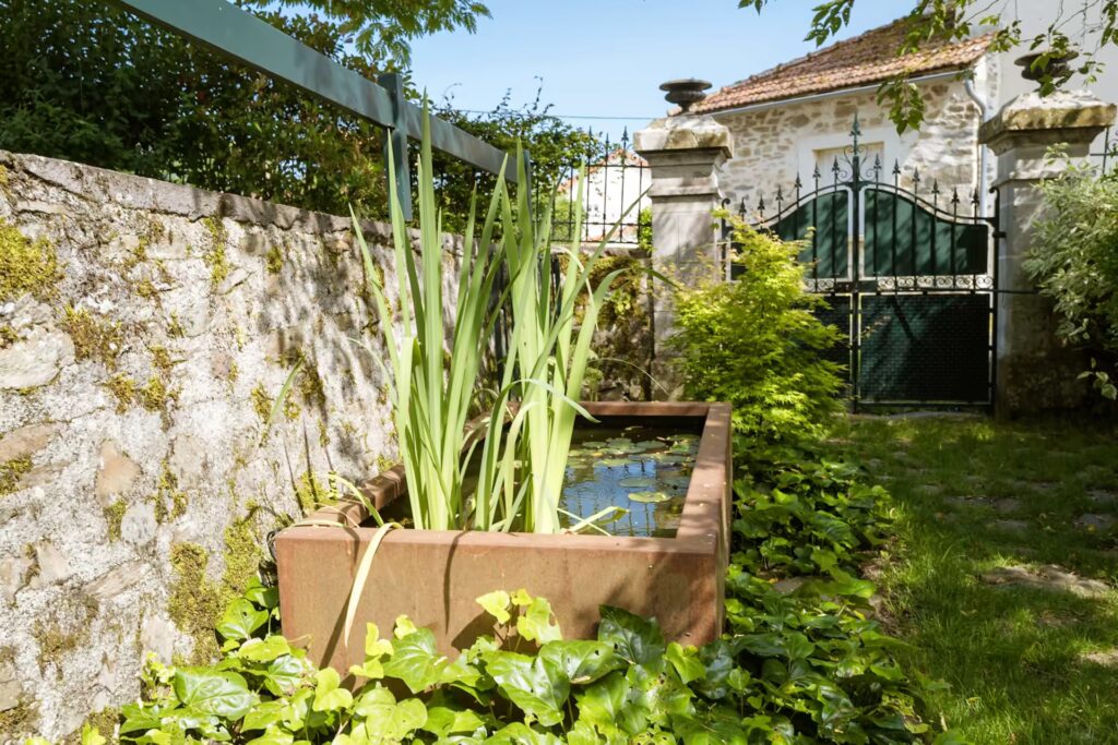 Jardin Conseil Aurillac - Bassin d'ornement Aurillac