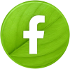 reseaux sociaux vert facebook
