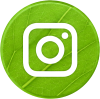reseaux sociaux vert instagram