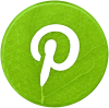reseaux sociaux vert pinterest